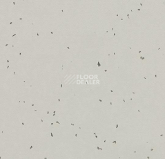 Линолеум Forbo Sphera Energetic 50211 stone фото 1 | FLOORDEALER